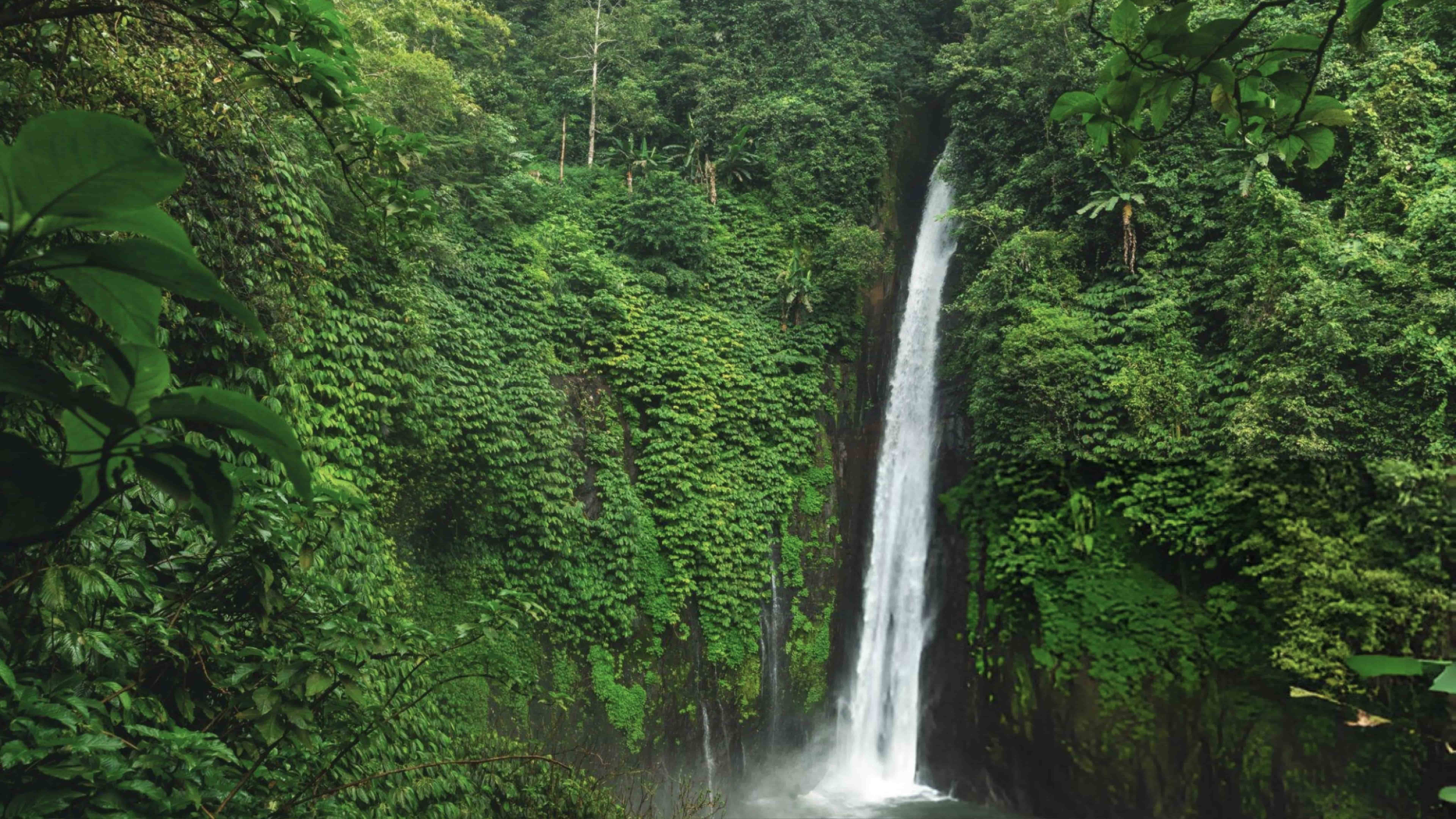 Munduk Waterfall - Best Waterfall in Bali