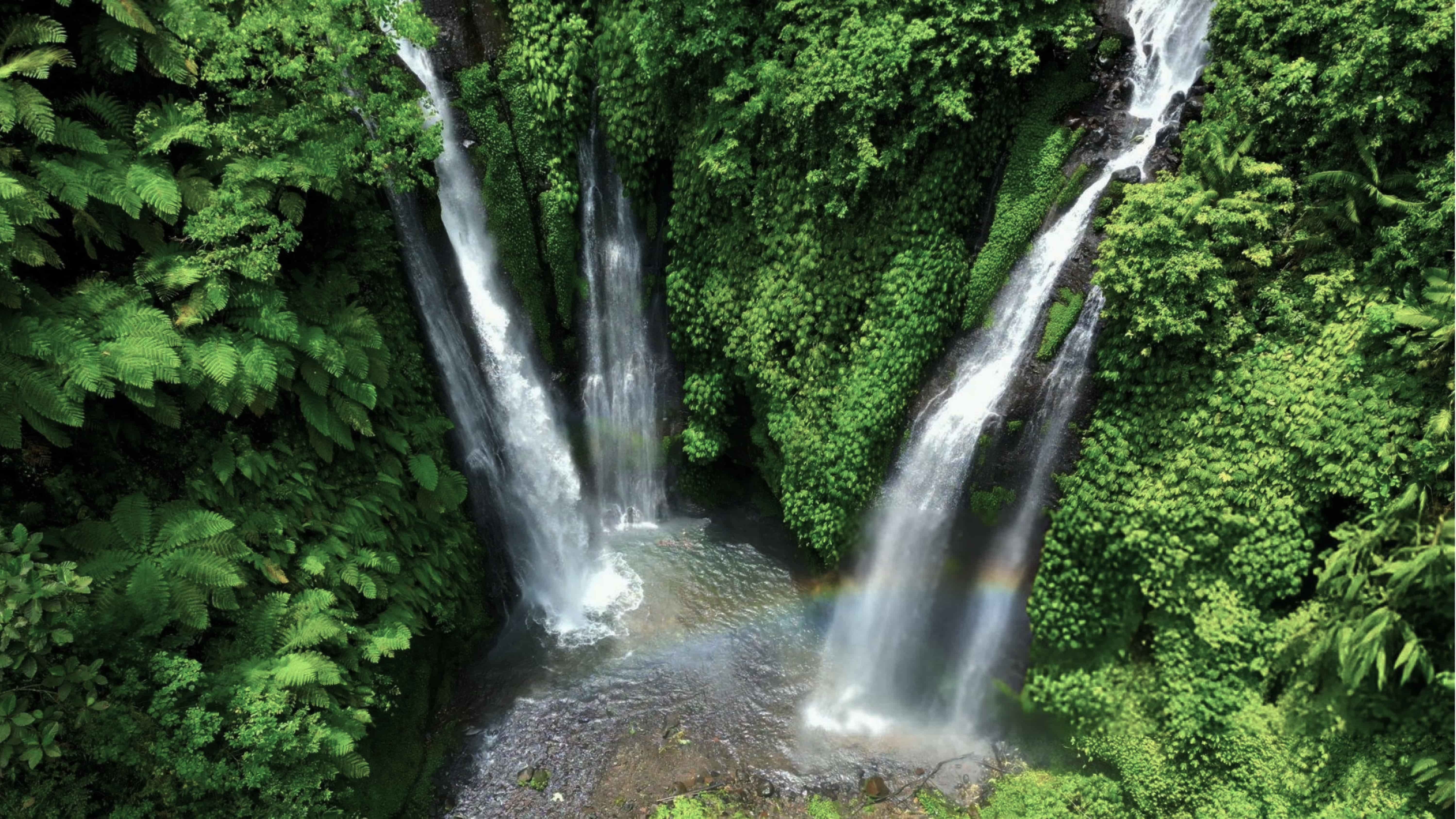 Fiji Waterfall - Best Waterfall in Bali